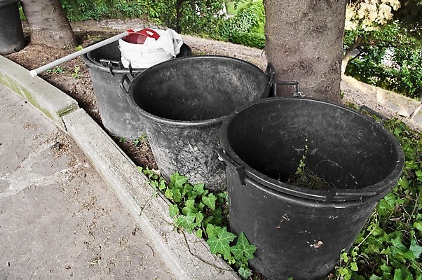포토 JPG 해외이미지 백그라운드 잎 자연 사람없음 초록색 여름 환경 정원 봄 성장 가을 도구 공구 냄비 컨테이너 플라스틱 자르기 수집 유기농 원예 땅바닥 해외202004 해외포토 식물 웰빙 계절 산업 컬러 모션 재질 바닥 취미 솥 생태계 파일형식 이미지허브