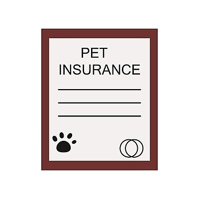 EPS 해외이미지 동물 디자인 배너 포스터 여행 백그라운드 일러스트 비즈니스 건강 병원 안전 치료 반려동물 세트 알약 약 고양이 플랫 개 강아지 보호 질병 심볼 서비스 사인 이익 주사약 수의사 보험 돌봄 엘리먼트 예방접종 예방주사 아바타 해외202004 해외일러스트 컨셉 포유류 의학 모션 주사기 의사 예방 접종 파일형식 벡터 이미지허브