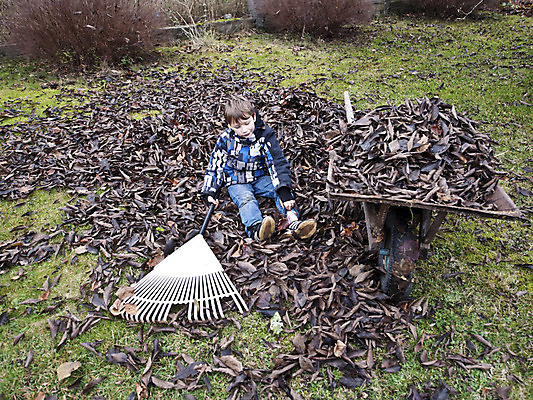 포토 JPG 해외이미지 나무 계절 어린이 잎 자연 휴식 피곤 한명 소년 잔디 야외 초록색 쌓기 수레 모임 가을 업무 11월 청소 수집 원예 흙더미 10월 갈퀴 단절 땅바닥 해외202004 해외포토 식물 1 남자 컬러 컨셉 모션 바닥 사람 취미 흙 카트 작업 날짜 생태계 파일형식 더미 이미지허브