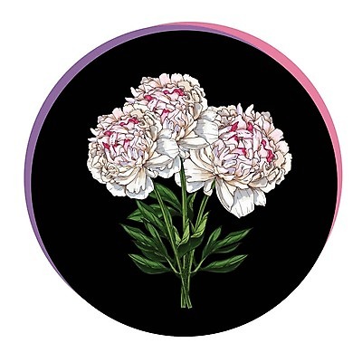 EPS 해외이미지 식물 템플릿 디자인 꽃잎 꽃 줄기 백그라운드 컨셉 잎 꽃무늬 밭 일러스트 자연 3 빨간색 여름 머리 정원 검은색 봄 추위 신선 원형 신용카드 그룹 5월 오브젝트 그림 심플 엽서 양귀비 고립 엘리먼트 세련 해외202004 해외일러스트 도형 계절 컬러 무늬 농업 신체부위 금융 날짜 편지 생태계 파일형식 벡터 이미지허브