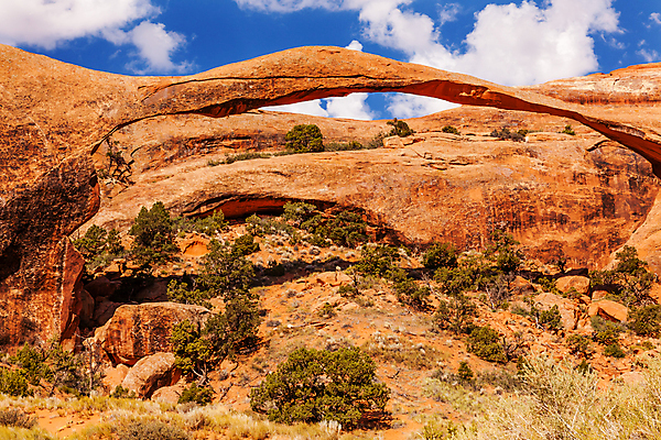 포토 JPG 해외이미지 공원 여행 백그라운드 오렌지 자연 휴가 산 건조 풍경 사람없음 야외 컬러풀 환경 골짜기 미국 사막 암석 바위 땅 아치 암초 사암 울퉁불퉁 지질학 해외202004 해외포토 공공시설 교육 컬러 북아메리카 과일 돌_바위 생태계 파일형식 이미지허브