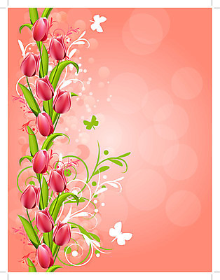 EPS 해외이미지 식물 템플릿 꽃잎 꽃 분홍색 나비 백그라운드 잎 꽃무늬 패턴 일러스트 자연 프레임 발렌타인데이 장식 빨간색 세로 초록색 여름 정원 봄 튤립 소용돌이 흰색 화려 4월 다발 S 해외202004 해외일러스트 알파벳 계절 컬러 곤충 컨셉 무늬 데이이벤트 회오리 날짜 생태계 파일형식 벡터 이미지허브