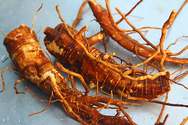 포토 JPG 해외이미지 나무 식물 전통 아시아 음식 백그라운드 자연 건조 한국 건강 동양인 사람없음 약 중국 활발 에너지 흰색 신선 달콤 수프 몸무게 허브 싱글 유기농 뿌리 돌봄 치료제 토닉 해외202004 해외포토 웰빙 나라 컬러 컨셉 의학 모션 인종 맛 생태계 파일형식 이미지허브