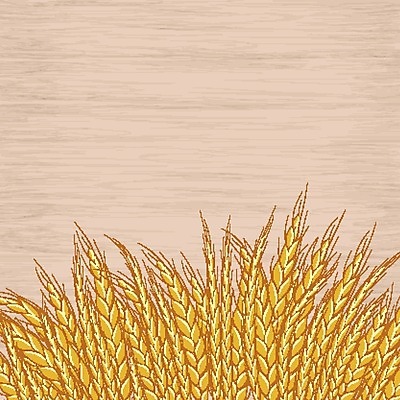 EPS 해외이미지 식물 전통 계절 음식 빵 줄기 백그라운드 농업 일러스트 자연 하늘 건조 건강 옥수수 미술 씨앗 목재 여름 농작물 태양 농장 노란색 일출 수확 성장 가을 흰색 신선 황금 낟알 시리얼 밀 심볼 사인 유기농 귀 밀가루 스파이크 내추럴 고립 밭일 숙성 호밀 해외202004 해외일러스트 자연요소 나무 웰빙 산업 컬러 재료 문화예술 곡류 신체부위 노을 가루 생태계 파일형식 벡터 이미지허브