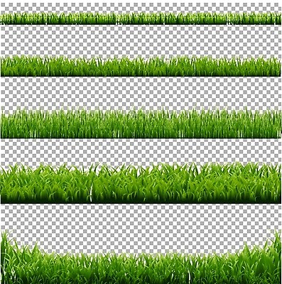 EPS 해외이미지 나무 식물 계절 공원 백그라운드 잎 밭 일러스트 자연 바닥 잔디 사람없음 장식 초록색 여름 빛 농장 새싹 정원 봄 활발 신선 땅 오브젝트 내추럴 해외202004 해외일러스트 공공시설 컬러 컨셉 농업 생태계 파일형식 벡터 이미지허브