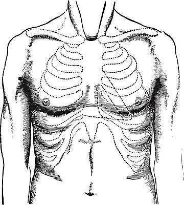 EPS 해외이미지 선 일러스트 미술 검은색 수확 흰색 가슴 그림 판화 바비큐립 궤 해외202004 해외일러스트 컬러 농업 문화예술 신체부위 바비큐 파일형식 벡터 이미지허브