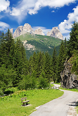 포토 JPG 해외이미지 나무 유럽 도로 길 여행 자연 하늘 휴가 산 거리 파노라마 풍경 사람없음 목재 초록색 여름 파란색 계곡 맑음 봄 이탈리아 시골 소나무 숲 알프스 장면 해외202004 해외포토 식물 계절 나라 컬러 재료 교통시설 날씨 촬영기법 생태계 파일형식 이미지허브
