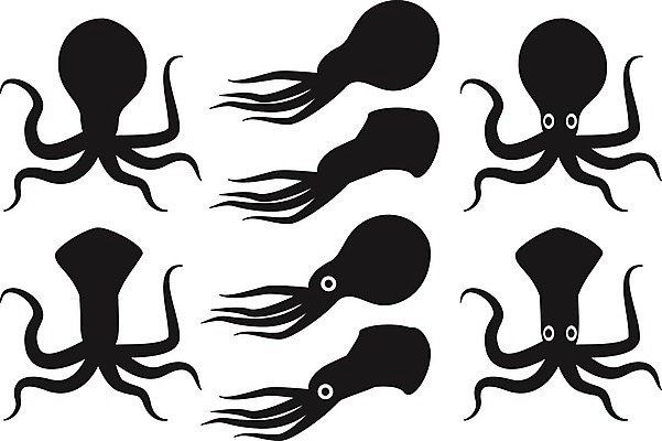 EPS 해외이미지 동물 캐릭터 디자인 실루엣 야생동물 음식 바다 백그라운드 일러스트 자연 생물 항해 흑백 어류 그래픽 빨간색 물 머리 검은색 수중 흰색 플랫 큼 만화 심볼 해산물 사인 오징어 그림 심플 문어 촉수 거인 고립 몬스터 해외202004 해외일러스트 일러캐릭터 자연요소 컬러 연체동물 촬영기법 신체부위 수중동물 배 크기 생태계 선박 파일형식 벡터 수상교통 무척추동물 사람 교통수단 교통 이미지허브