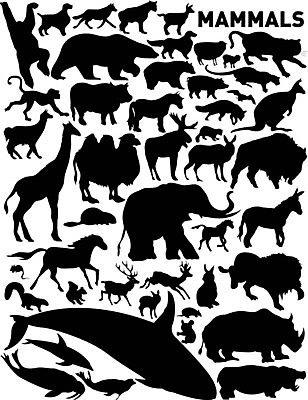 EPS 해외이미지 클립아트 동물 실루엣 포스터 길 야생동물 곤충 일러스트 포유류 자연 사슴 코끼리 그래픽 세트 농장 원숭이 양 호랑이 소 선택 개 인쇄 사자 물개 들소 수집 기린 고래 돌고래 황소 윤곽 여우 낙타 하마 코뿔소 당나귀 양고기 표범 동물상 자취 해외202004 해외일러스트 컨셉 농업 촬영기법 육류 조형물 바다동물 수중동물 말_동물 생태계 파일형식 벡터 이미지허브