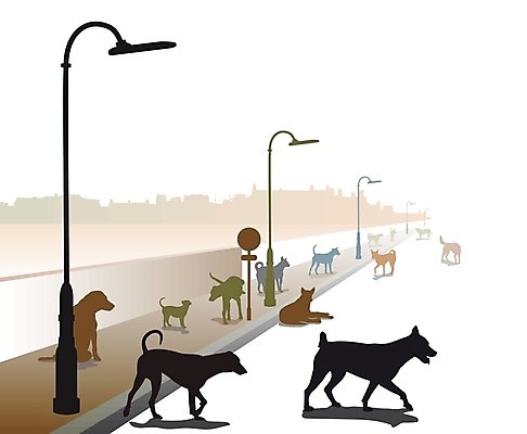 EPS 해외이미지 동물 실루엣 도로 일러스트 거리 반려동물 컬러풀 도시 개 강아지 자르기 버리기 잡종 송곳니 길가 해외202004 해외일러스트 길 컬러 포유류 교통시설 모션 촬영기법 치아 파일형식 벡터 이미지허브