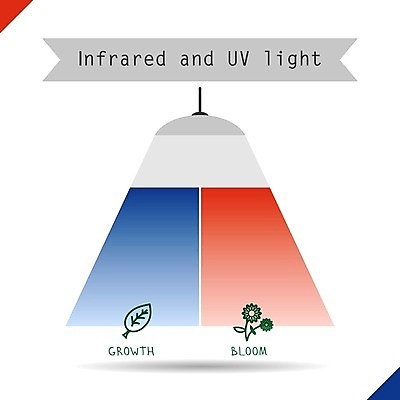 EPS 해외이미지 디자인 꽃 백그라운드 컨셉 일러스트 전구 미래 조명 아이디어 그래픽 빛 반사 환경 정원 힘 장비 에너지 성장 램프 긴급 심볼 오브젝트 그림 에코 심플 스포트라이트 형광등 해결 혁명 고립 떠남 모종 자외선 적외선 주도 해외202004 해외일러스트 식물 모션 전등 예절 파일형식 벡터 이미지허브