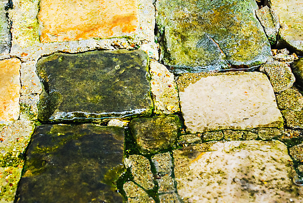 포토 JPG 해외이미지 모양 전통 계절 도로 벽 백그라운드 잎 패턴 건축양식 자연 벽지 표면 추상 거리 사람없음 야외 초록색 물 빛 갈색 노란색 젖음 수확 골동품 황금 닫기 떨어짐 묘사 질감 내추럴 그런지 땅바닥 방법 옛날 스플래쉬 해외202004 해외포토 자연요소 식물 건축 길 컬러 컨셉 무늬 농업 교통시설 모션 바닥 생태계 파일형식 이미지허브