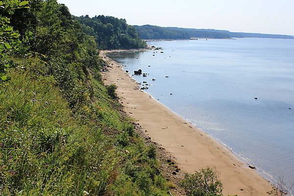포토 JPG 해외이미지 모래 휴식 건강 종류 풍경 사람없음 목재 여름 빛 낭만주의 해외202004 해외포토 나무 계절 컨셉 재료 파일형식 이미지허브