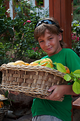 포토 JPG 해외이미지 백인 남자 어린이 음식 오렌지 과일 건강 한명 앉기 소년 금발 바구니 흰색 자르기 먹기 싱글 걸음마 고립 채식주의자 해외202004 해외포토 서양인 1 헤어스타일 컬러 모션 사람 채식 파일형식 이미지허브