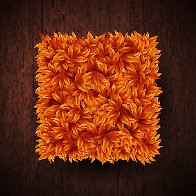 EPS 해외이미지 나무 식물 템플릿 디자인 배너 계절 포스터 백그라운드 잎 패턴 일러스트 자연 벽지 추상 프레임 목재 장식 환경 공백 수확 가을 신용카드 발표 널 상품 갑판 사인 에코 유기농 생태계 질감 레이아웃 복고 정사각형 내추럴 생태학 옛날 해외202004 해외일러스트 도형 웰빙 교육 무늬 농업 배_교통 재료 금융 파일형식 벡터 이미지허브