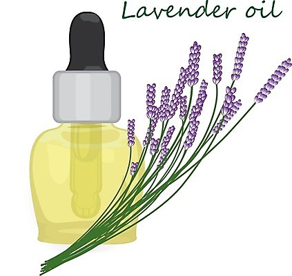 EPS 해외이미지 식물 디자인 꽃 잎 꽃무늬 일러스트 자연 건강 치료 여름 세트 약 라벨 보라색 화장품 흰색 나뭇가지 상품 약국 수집 허브 제비꽃 향신료 그림 유기농 향기 아로마 침엽수 성분 아로마테라피 라벤더 내추럴 보충 돌봄 바이오 해외202004 해외일러스트 나무 웰빙 계절 컬러 무늬 의학 모션 프레임 뷰티 생태계 냄새 테라피 향미료 파일형식 벡터 이미지허브