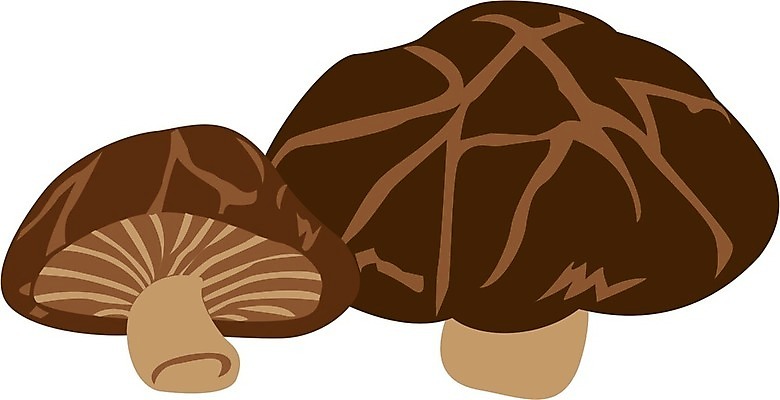 EPS 해외이미지 식물 디자인 아시아 음식 채소 일러스트 재료 건조 요리 동양인 그래픽 바구니 일본 검은색 버섯 침묵 큼 배열 먹기 대나무 날것 해외202004 해외일러스트 나무 나라 컬러 모션 인종 소리 크기 파일형식 벡터 이미지허브