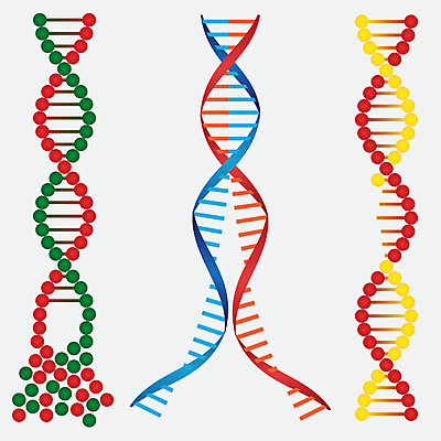 EPS 해외이미지 모델 교육 과학 일러스트 해부 자연 나선형 약 손상 흰색 죽음 DNA 약국 생물학 원자 미생물 염색체 고립 깨짐 유전 화학물질 해외202004 해외일러스트 컬러 컨셉 무늬 의학 생물 화학 생명공학 생태계 파일형식 벡터 이미지허브