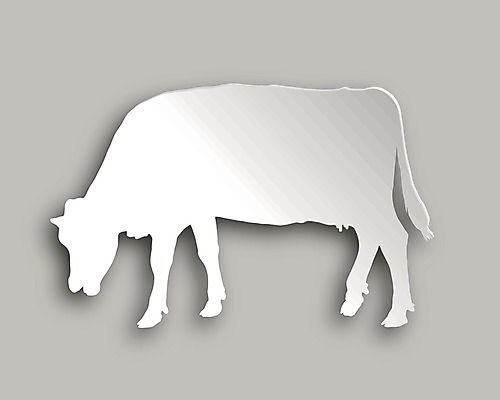 EPS 해외이미지 모양 디자인 종이 백그라운드 일러스트 사랑 그래픽 3D 회색 흰색 신용카드 소 그늘 방목 심볼 사인 찰과상 스타일 해외202004 해외일러스트 감정 컬러 포유류 금융 축산업 상처 디지털합성 파일형식 벡터 이미지허브