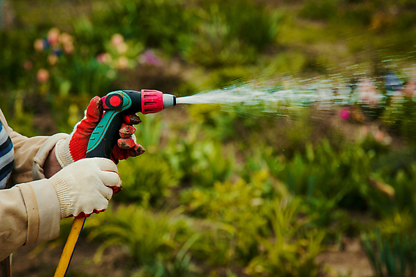 포토 JPG 해외이미지 식물 라이프스타일 여자 꽃 행복 백그라운드 컨셉 농업 자연 주택 한명 사람 잔디 성인 취미 초록색 물 정원 봄 젖음 신선 잡기 떨어짐 땅 은퇴 뿌리기 물주기 원예 분무기 호스 유지 내추럴 교외 돌봄 뒤뜰 스프링쿨러 해외202004 해외포토 자연요소 1 계절 감정 산업 컬러 모션 건물 생활 생태계 파일형식 이미지허브