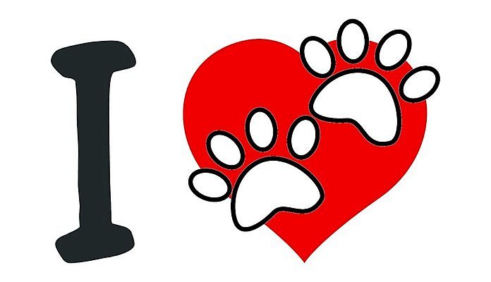 EPS 해외이미지 동물 모델 캐릭터 디자인 배너 실루엣 백그라운드 컨셉 스티커 일러스트 텍스트 자연 추상 사랑 미술 타이포그라피 그래픽 빨간색 단어 환경 흰색 하트 그리기 개 보호 편지 심볼 오브젝트 사인 질감 타입 내추럴 거짓 고립 해외202004 해외일러스트 일러캐릭터 모양 문자 감정 컬러 무늬 포유류 모션 문화예술 촬영기법 생태계 파일형식 벡터 이미지허브