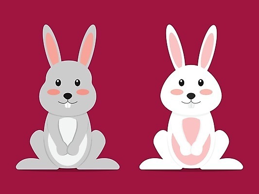 EPS 해외이미지 두마리 일러스트 사람없음 토끼 흰토끼 해외202004 해외일러스트 2 포유류 반려동물 파일형식 벡터 이미지허브