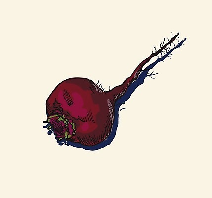 EPS 해외이미지 식물 계절 산업 음식 줄기 백그라운드 잎 농업 채소 일러스트 재료 자연 건강 요리 미술 초록색 농작물 세트 농장 정원 수확 가을 흰색 신선 그룹 시장 맛 상품 수집 먹기 제비꽃 오브젝트 싱글 원예 뿌리 내추럴 고립 비트 채식주의자 현실 해외202004 해외일러스트 꽃 컬러 컨셉 모션 문화예술 취미 생태계 채식 파일형식 벡터 이미지허브