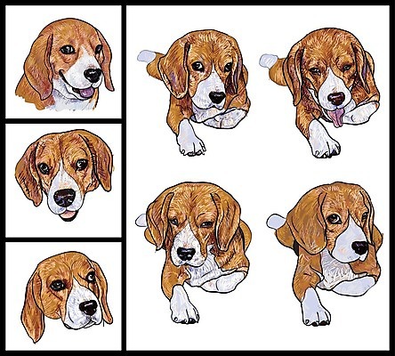 EPS 해외이미지 동물 행복 일러스트 휴식 앉기 반려동물 세트 갈색 머리 흰색 개 강아지 스케치 그림 비글 송곳니 해외202004 해외일러스트 감정 컬러 컨셉 포유류 모션 미술 신체부위 치아 파일형식 벡터 이미지허브