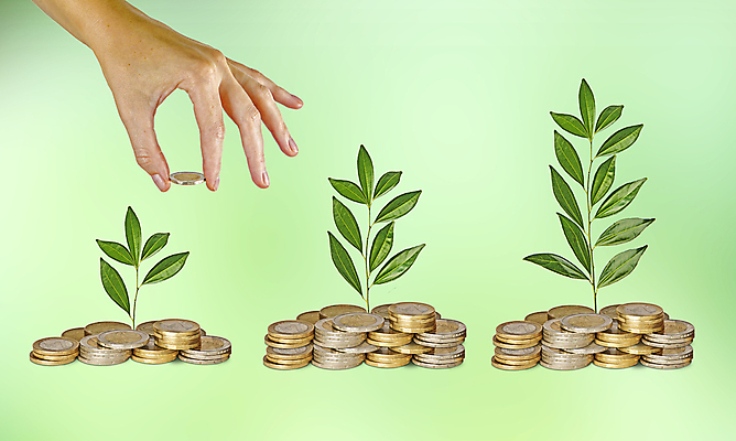 포토 JPG 해외이미지 나무 식물 손 여자 잎 돈 비즈니스 자연 3 사람 사람없음 초록색 금융 경제 새싹 환경 동전 유로 성장 재산 닫기 발자국 투자 개발 모종 묘목 생태학 지원 투자자 해외202004 해외포토 교육 컬러 자국 모션 신체부위 생태계 파일형식 이미지허브