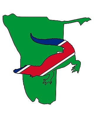 EPS 해외이미지 동물 배너 실루엣 백그라운드 일러스트 파충류 아프리카 빨간색 초록색 파란색 흰색 깃발 심볼 사인 악어 고립 나미비아 동물상 전국 해외202004 해외일러스트 나라 컬러 촬영기법 조형물 남아프리카 파일형식 벡터 이미지허브