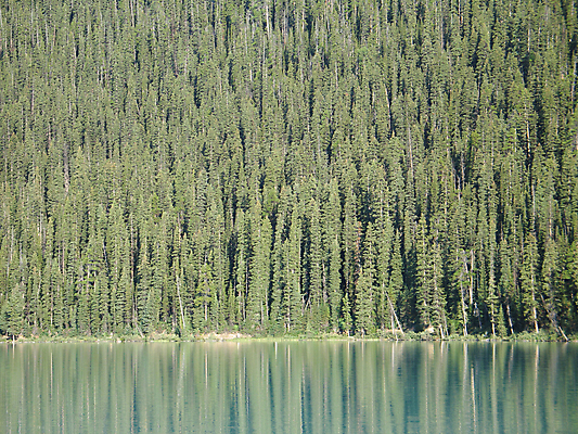 포토 JPG 해외이미지 나무 구름 호수 선 자연 하늘 영국 산 그림자 풍경 사람없음 가로 초록색 물 파란색 반사 거울 추위 소나무 콜롬비아 숲 큼 그늘 유기농 첨탑 내추럴 로키산맥 그리너리 해외202004 해외포토 자연요소 식물 웰빙 유럽 컬러 탑 남아메리카 크기 생태계 파일형식 트랜드컬러 이미지허브