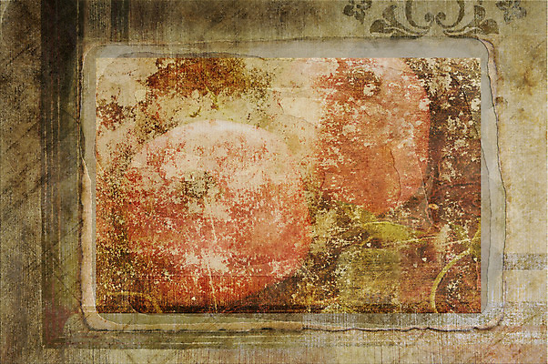 포토 JPG 해외이미지 벽 백그라운드 크리스마스 패턴 과일 프레임 사람없음 수확 골동품 질감 복고 페이지 석류 그런지 옛날 해외202004 해외포토 기념일 무늬 농업 파일형식 이미지허브