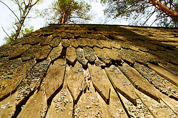 포토 JPG 해외이미지 나무 외관 산업 벽 백그라운드 잎 건축양식 자연 하늘 지붕 새로움 주택 프레임 사람없음 목재 태양 갈색 마을 시골 재산 널 오두막 그늘 목공예 수목 옛날 해외202004 해외포토 자연요소 식물 건축 컬러 컨셉 재료 건물 금융 공예 생태계 파일형식 이미지허브