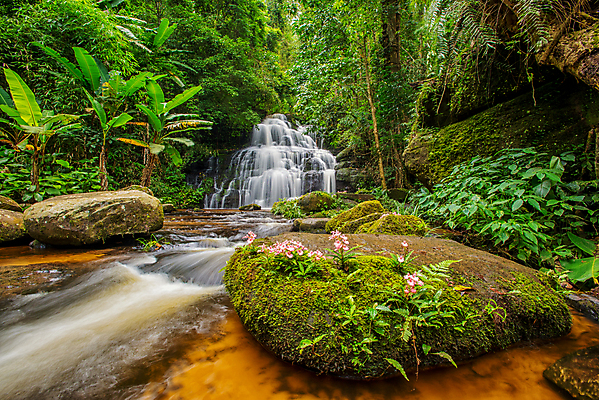 포토 JPG 해외이미지 나무 식물 공원 백그라운드 잎 모션 태국 자연 휴가 휴식 풍경 사람없음 목재 초록색 물 강 수영 봄 활발 폭포 젖음 흐름 성장 가을 신선 개울 숲 순수 천국 이국적 전국 파라다이스 해외202004 해외포토 자연요소 계절 공공시설 아시아 컬러 컨셉 재료 수상스포츠 생태계 파일형식 이미지허브