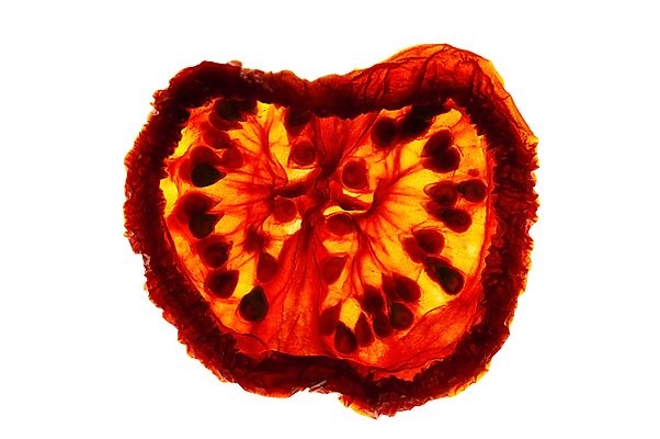 포토 JPG 해외이미지 백그라운드 토마토 채소 재료 프레임 건조 건강 씨앗 사람없음 가로 빨간색 이탈리아 가득함 묘사 유기농 채식주의자 많음 해외202004 해외포토 식물 웰빙 유럽 컬러 컨셉 채식 파일형식 이미지허브