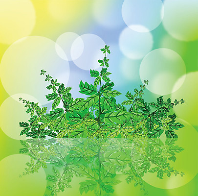 EPS 해외이미지 배너 백그라운드 잎 일러스트 추상 휴가 아웃포커스 장식 초록색 여름 빛 태양 맑음 봄 거품 인사 원형 신용카드 관목 보케 블러 효과 해외202004 해외일러스트 자연요소 도형 나무 식물 계절 컬러 무늬 날씨 촬영기법 금융 예절 파일형식 벡터 이미지허브