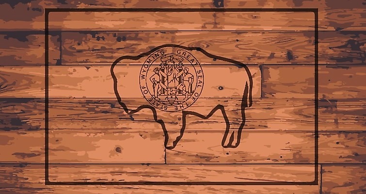 EPS 해외이미지 일러스트 목재 그래픽 미국 깃발 마루 낟알 심볼 그림 와이오밍 해외202004 해외일러스트 나무 북아메리카 재료 바닥 파일형식 벡터 이미지허브