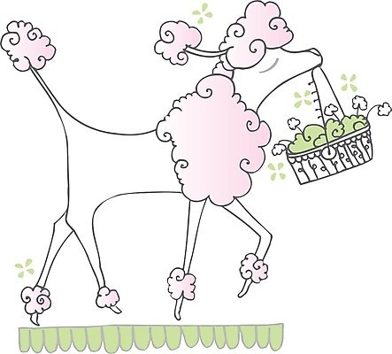 EPS 해외이미지 분홍색 일러스트 사람없음 반려동물 바구니 화려 개 달콤 강아지 푸들 해외202004 해외일러스트 동물 컬러 컨셉 포유류 맛 파일형식 벡터 이미지허브