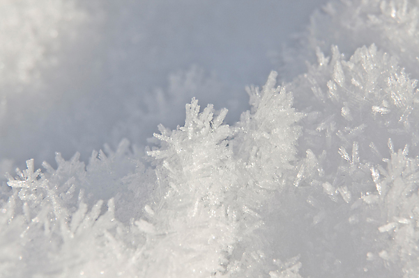 포토 JPG 해외이미지 겨울 자연 사람없음 야외 냉동 얼음 추위 크리스탈 질감 서식 특별함 해외202004 해외포토 자연요소 계절 컨셉 광석 생태계 파일형식 이미지허브
