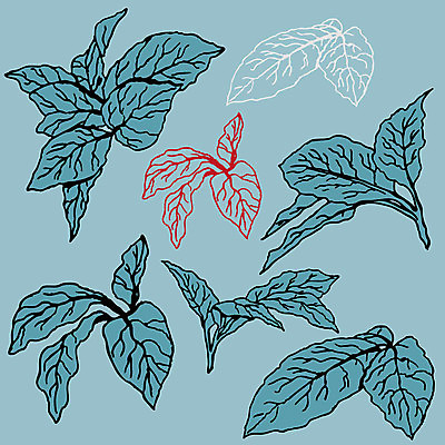 EPS 해외이미지 클립아트 나무 식물 디자인 잎 꽃무늬 일러스트 자연 미술 그래픽 장식 초록색 세트 고립 엘리먼트 해외202004 해외일러스트 꽃 컬러 무늬 문화예술 생태계 파일형식 벡터 이미지허브