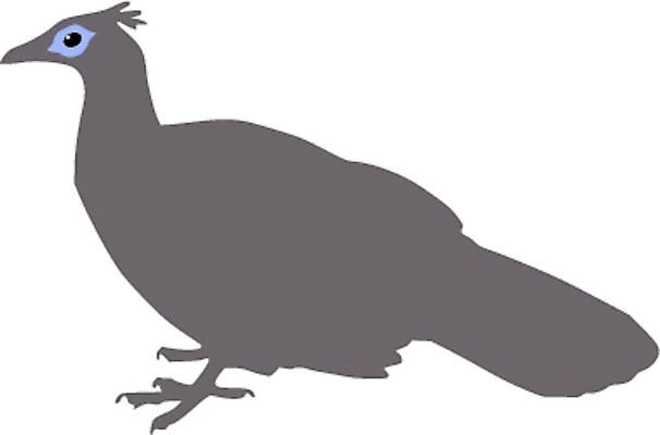 EPS 해외이미지 모양 동물 디자인 실루엣 백그라운드 날개 일러스트 자연 조류 미술 그래픽 장식 자유 먹이 공격 심볼 깃털 군용 꼬리 보안 사냥 클립 부리 날카로움 윤곽 독수리 육식동물 애국심 무료 엘리먼트 전국 집게발 히말라야 해외202004 해외일러스트 컨셉 모션 문화예술 군대 촬영기법 안전 생태계 파일형식 벡터 산맥 이미지허브