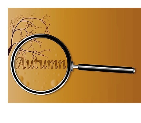 EPS 해외이미지 나무 계절 분홍색 단풍 잎 겨울 일러스트 날씨 새로움 초록색 여름 얼음 추위 가을 눈송이 변화 연도 확대경 벌거벗은 총쏘기 카피스페이스 해외202004 해외일러스트 자연요소 식물 컬러 컨셉 모션 공백 눈 파일형식 벡터 이미지허브