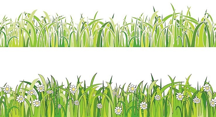 EPS 해외이미지 식물 디자인 계절 꽃 백그라운드 잎 꽃무늬 패턴 밭 일러스트 자연 추상 부활절 3 풍경 잔디 야외 가로 초록색 여름 우주 정원 봄 성장 흰색 그림 데이지 수선화 내추럴 고립 캐모마일 수평선 디테일 해외202004 해외일러스트 기념일 컬러 무늬 농업 허브 생태계 파일형식 벡터 이미지허브