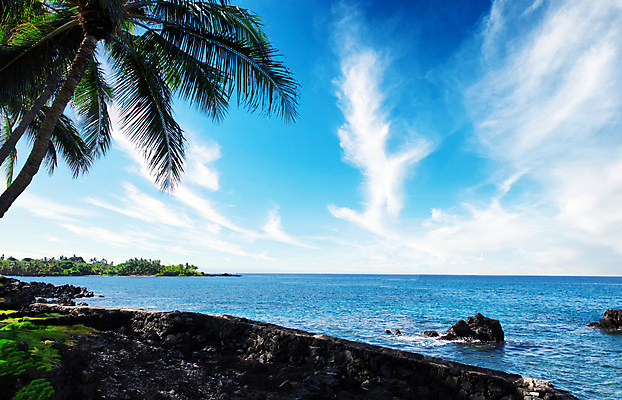 포토 JPG 해외이미지 나무 식물 바다 여행 백그라운드 자연 하늘 휴가 손바닥 풍경 사람없음 초록색 파란색 하와이 파라다이스 해외202004 해외포토 손 컬러 미국 생태계 파일형식 이미지허브