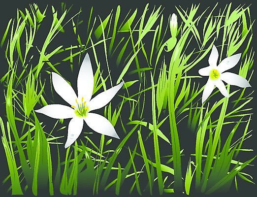 EPS 해외이미지 식물 템플릿 배너 계절 공원 꽃잎 꽃 포스터 백그라운드 꽃무늬 패턴 밭 일러스트 자연 풍경 잔디 야외 그래픽 초록색 물 여름 환경 정원 침묵 봄 성장 벚꽃 시골 신용카드 생일 떨어짐 땅 허브 질감 장면 말레이시아 생태학 해외202004 해외일러스트 자연요소 공공시설 교육 기념일 아시아 컬러 컨셉 무늬 농업 금융 소리 생태계 파일형식 벡터 이미지허브