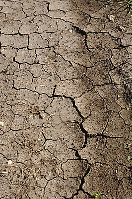 포토 JPG 해외이미지 지구 모래 백그라운드 패턴 밭 자연 표면 추상 프레임 건조 사람없음 야외 갈색 환경 사막 물방울 죽음 뜨거움 거친 균열 땅 부식 질감 먼지 점토 지역 진흙 가뭄 온도 다리찢기 내추럴 그런지 깨짐 재앙 효과 해외202004 해외포토 컬러 컨셉 무늬 농업 모션 날씨 생태계 파일형식 이미지허브