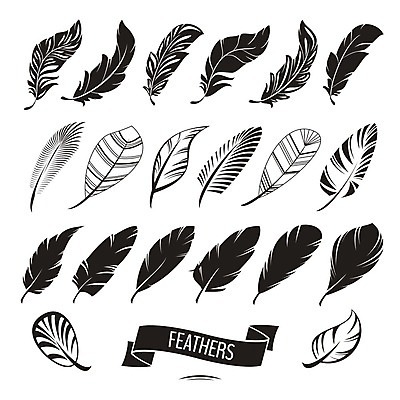 EPS 해외이미지 모양 전통 디자인 실루엣 선 날개 일러스트 자연 조류 추상 잉크 흑백 미술 그래픽 장식 세트 검은색 흰색 우아함 스케치 수집 심볼 깃털 오브젝트 사인 그림 복고 심플 부드러움 부족 고립 깃털펜 엘리먼트 스타일 해외202004 해외일러스트 동물 컬러 컨셉 무늬 문화예술 촬영기법 펜 감각 생태계 파일형식 벡터 이미지허브