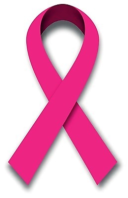 EPS 해외이미지 모양 디자인 배너 여자 리본 캠페인 분홍색 백그라운드 컨셉 일러스트 건강 그림자 그래픽 장식 3D 희망 환자 흰색 고리 질병 가슴 심볼 오브젝트 사인 활 싸움 심플 배지 유방암 암 고립 에이즈 엘리먼트 연대 지원 헬프 자선단체 해외202004 해외일러스트 감정 컬러 의학 모션 사람 신체부위 도움 그룹 디지털합성 자선 파일형식 벡터 이미지허브