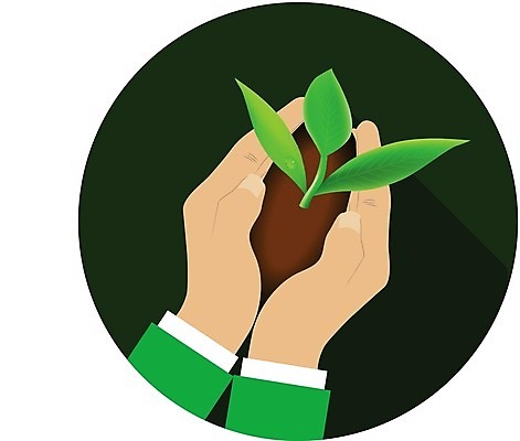 EPS 해외이미지 나무 식물 손 디자인 어린이 백그라운드 컨셉 잎 일러스트 자연 새로움 씨앗 초록색 새싹 정원 희망 흙 봄 성장 잡기 플랫 보호 심볼 그림 에코 원예 투자 내추럴 돌봄 모종 보유 해외202004 해외일러스트 계절 감정 컬러 비즈니스 모션 사람 취미 신체부위 환경 생태계 파일형식 벡터 이미지허브