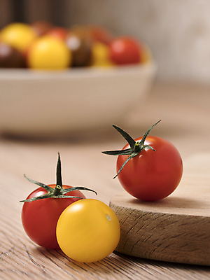 포토 JPG 해외이미지 음식 백그라운드 농업 다이어트 토마토 채소 오렌지 과일 재료 자연 건강 종류 사람없음 빨간색 초록색 컬러풀 노란색 식사 흰색 신선 체리 사발 시장 작음 유기농 날것 내추럴 숙성 채식주의자 많음 해외202004 해외포토 웰빙 산업 컬러 컨셉 사기그릇 크기 생태계 채식 파일형식 이미지허브